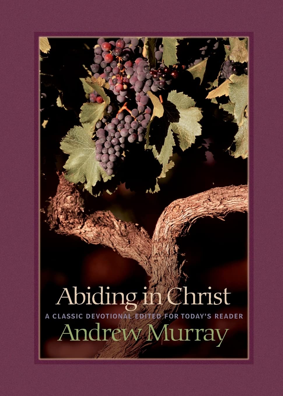 Abiding in Christ,New
