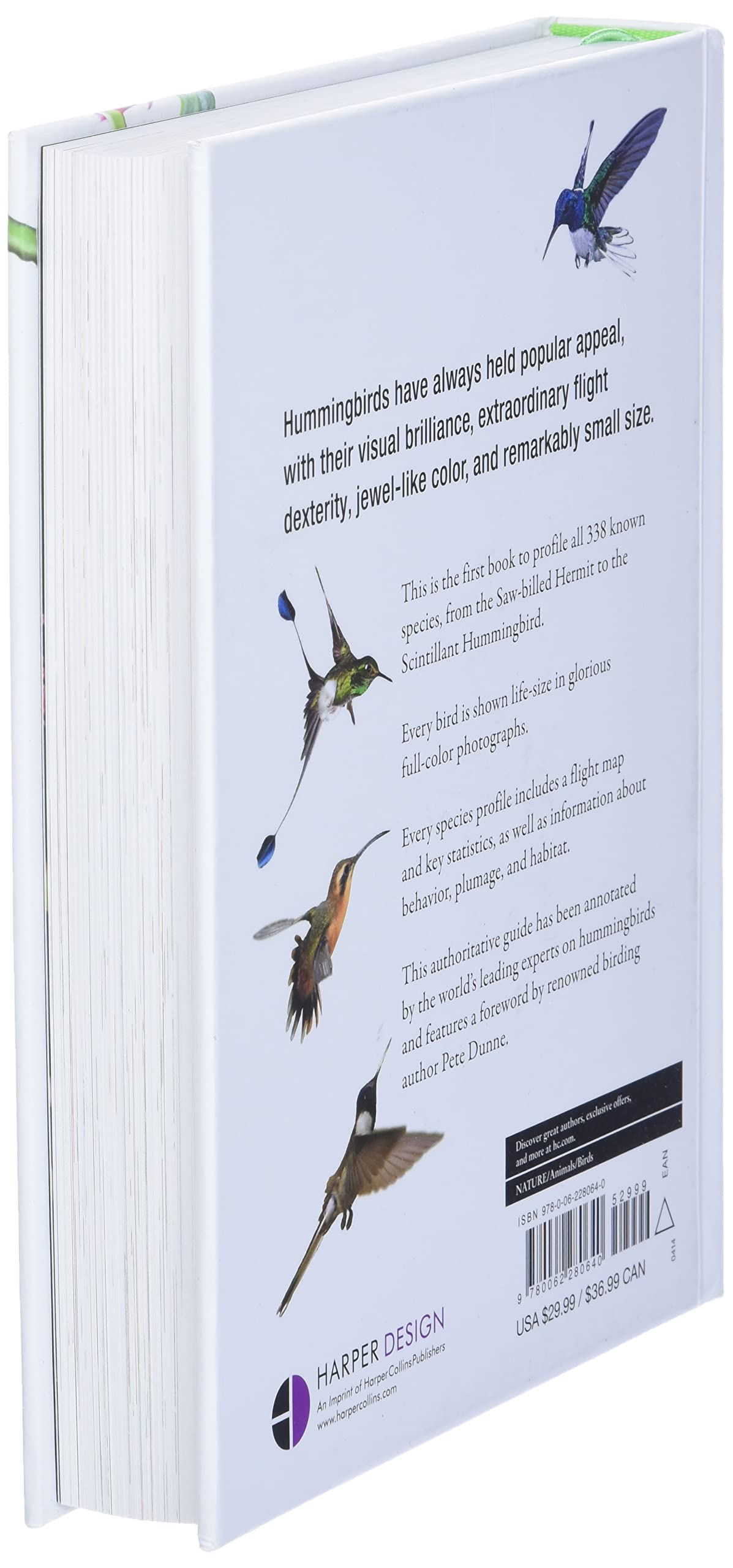 Hummingbirds: A Lifesize Guide to Every Species,New