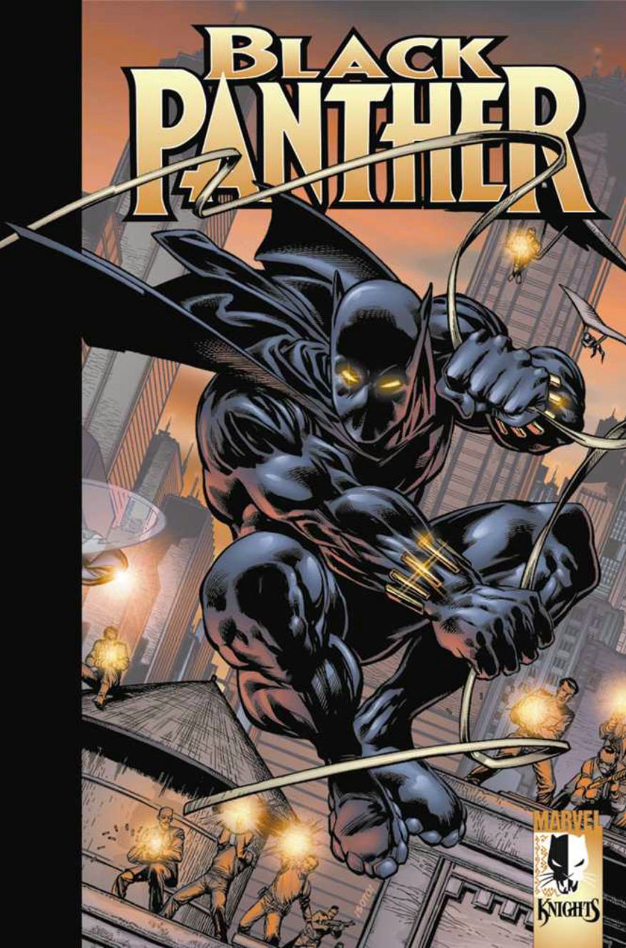 Black Panther: Enemy Of The State TPB,Used