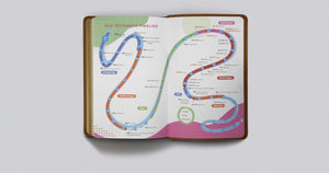 ESV Kid's Bible, Compact (TruTone, The True Vine),Used