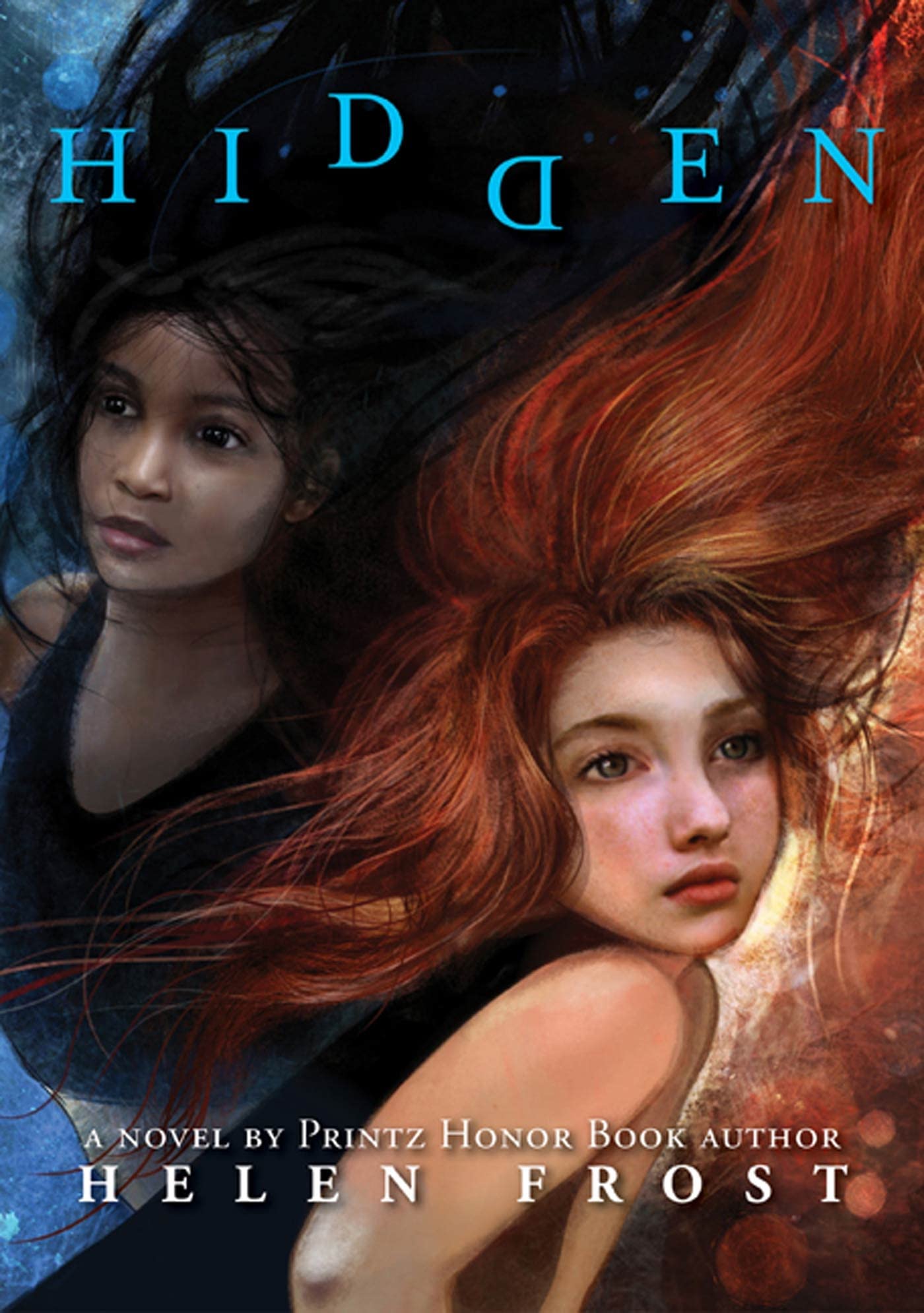 Hidden: A Novel,Used