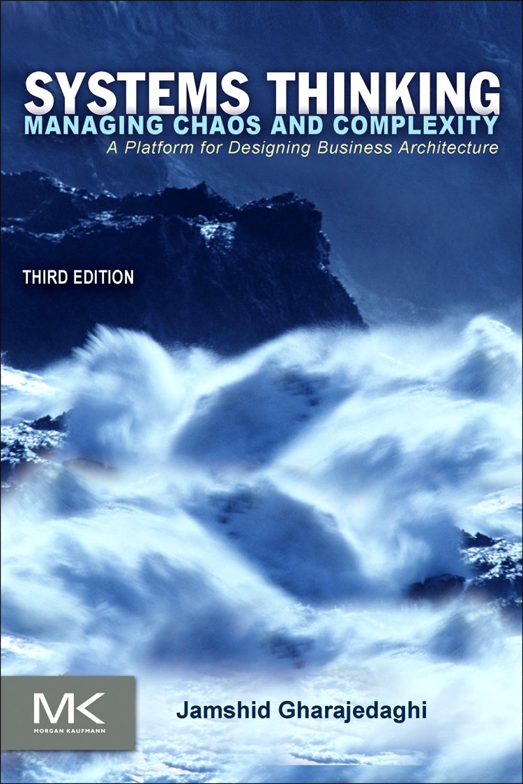 Systems Thinking: Managing Chaos and Complexity: A Platform for Designing Business Architecture,New