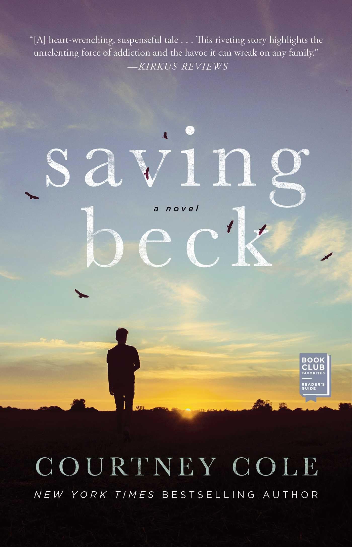 Saving Beck,Used