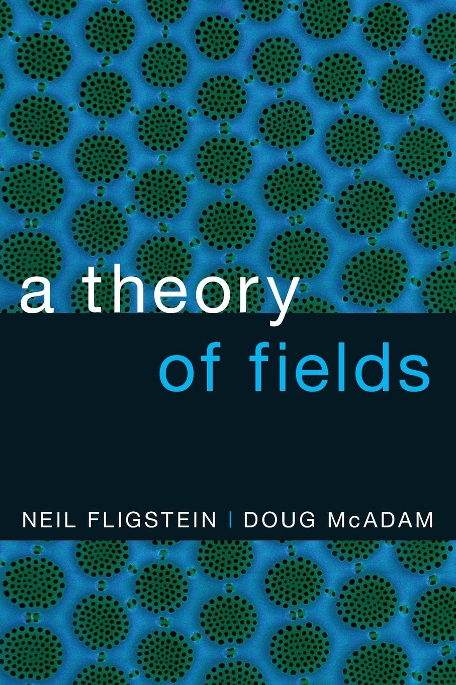 A Theory Of Fields,Used