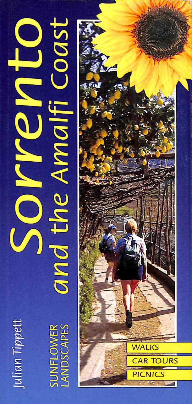 Landscapes of Sorrento and the Amalfi Coast (Landscape Countryside Guides),Used