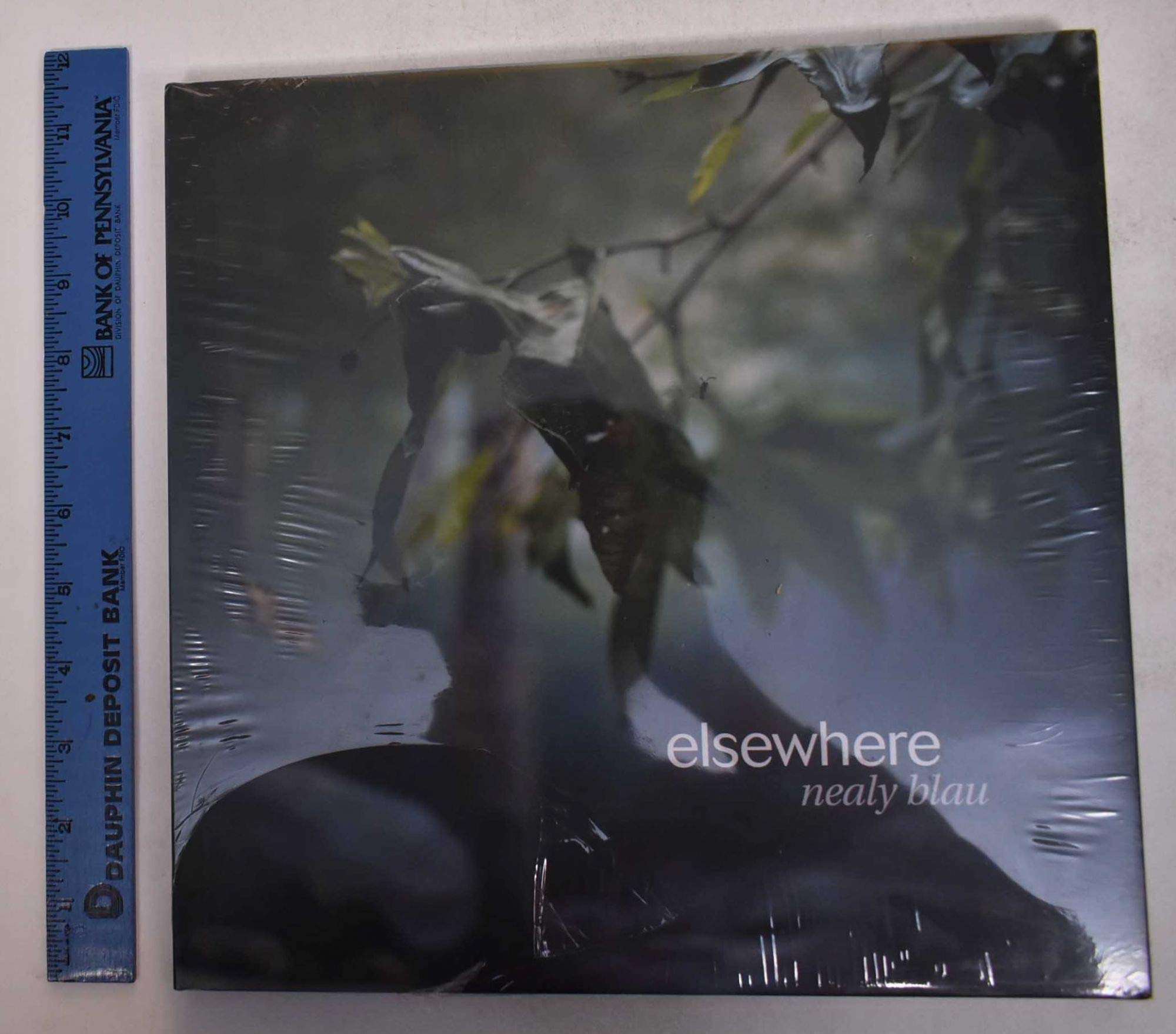 Nealy Blau: Elsewhere,Used