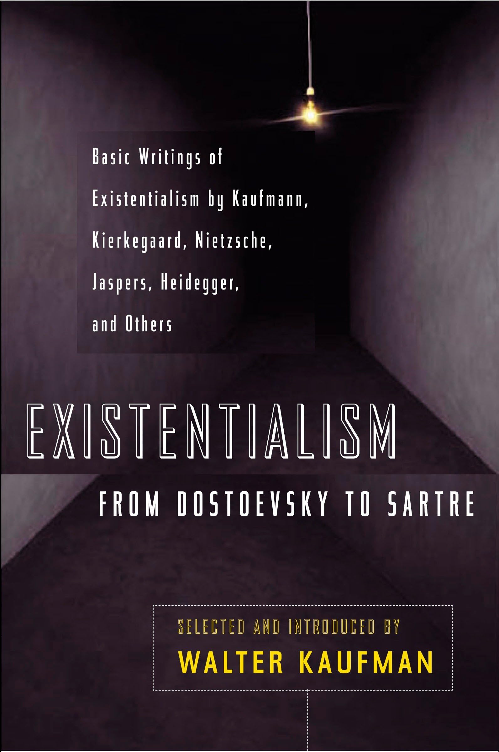 Existentialism From Dostoevsky To Sartre, Revised And Expanded Edition, Book Cover May Vary -Used