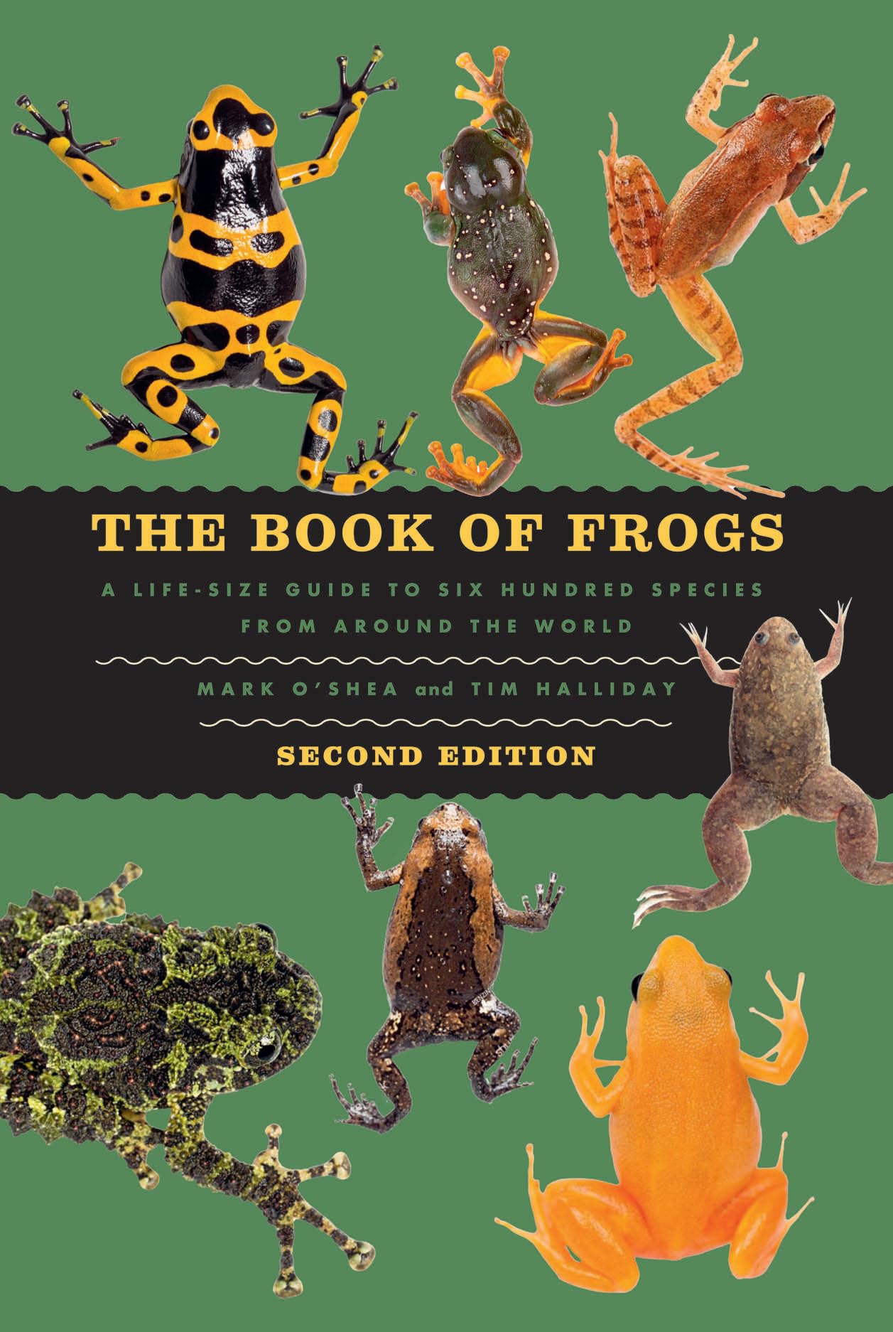 The Book Of Frogs: A LifeSize Guide To Six Hundred Species From Around The World, Second Edition (LifeSize Guides To The Best