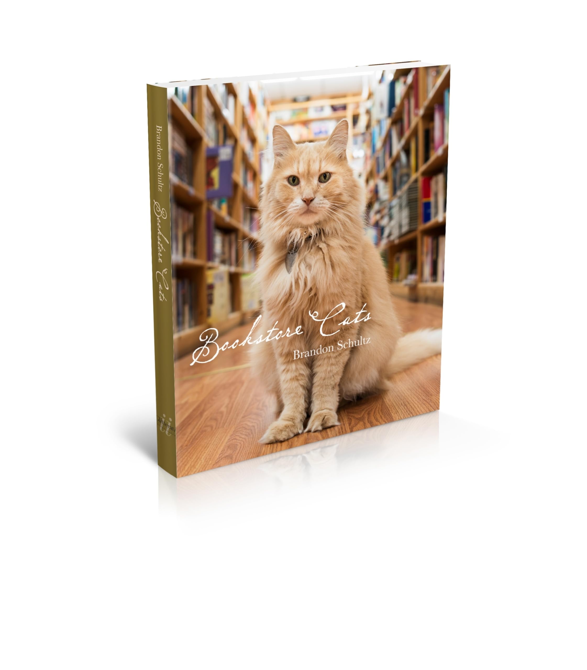 Bookstore Cats,Used