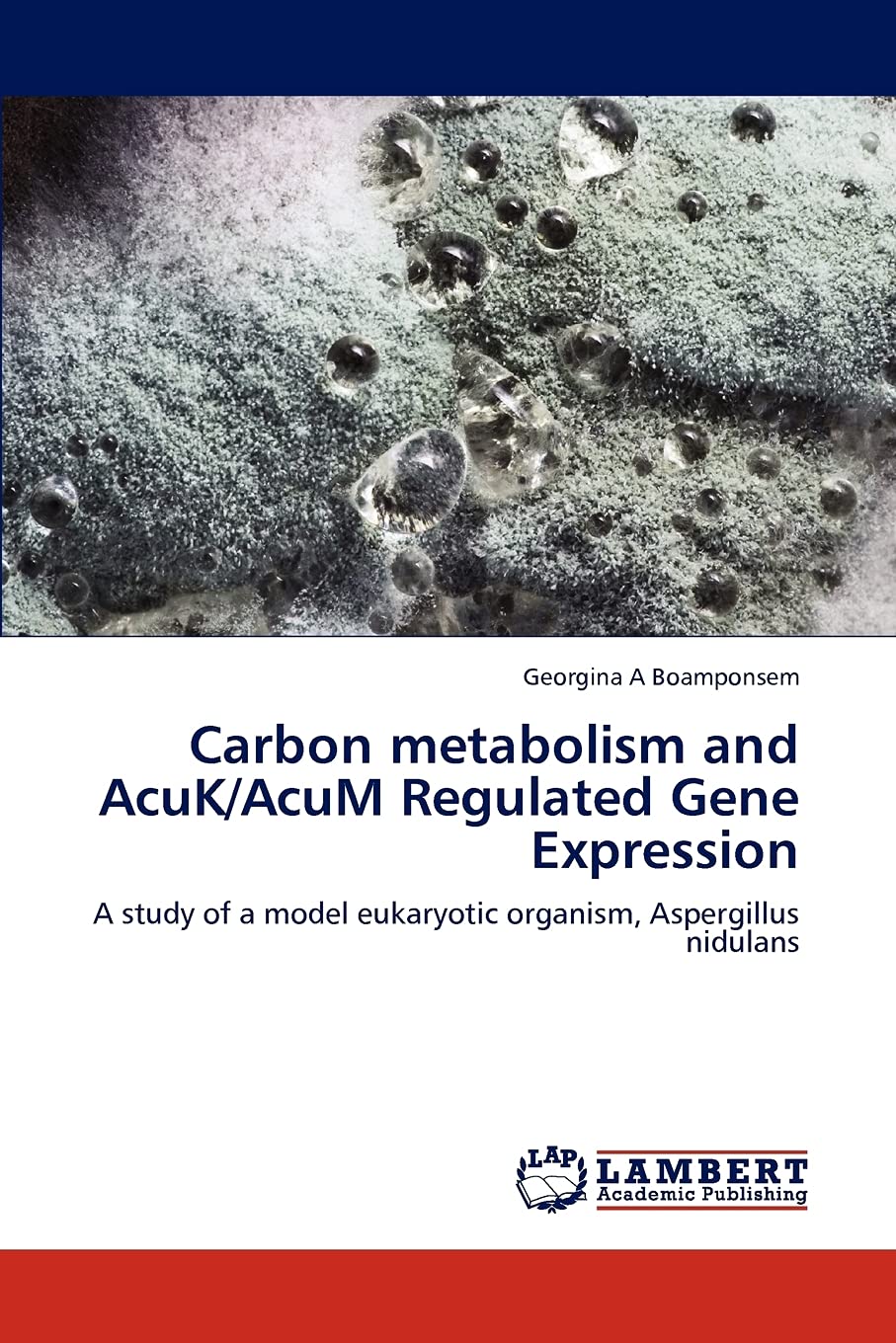 Carbon metabolism and AcuK/AcuM Regulated Gene Expression: A study of a model eukaryotic organism, Aspergillus nidulans,Used