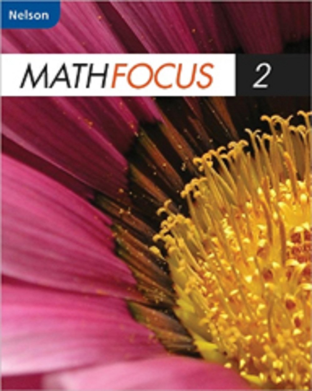 Nelson Math Focus 2 Student Book,Used