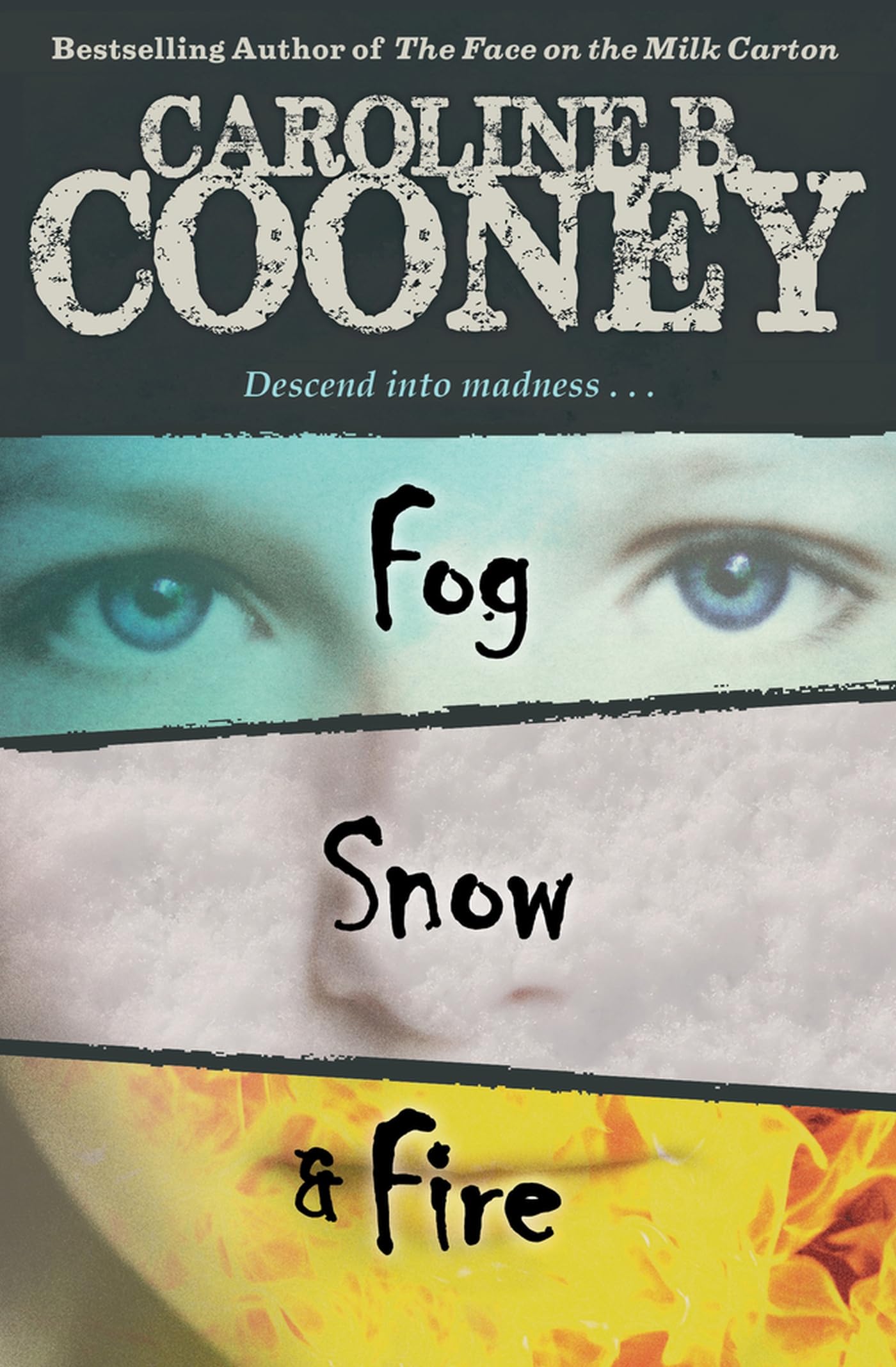 Fog, Snow, and Fire,Used