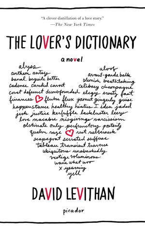 The Lover's Dictionary: A Novel,Used