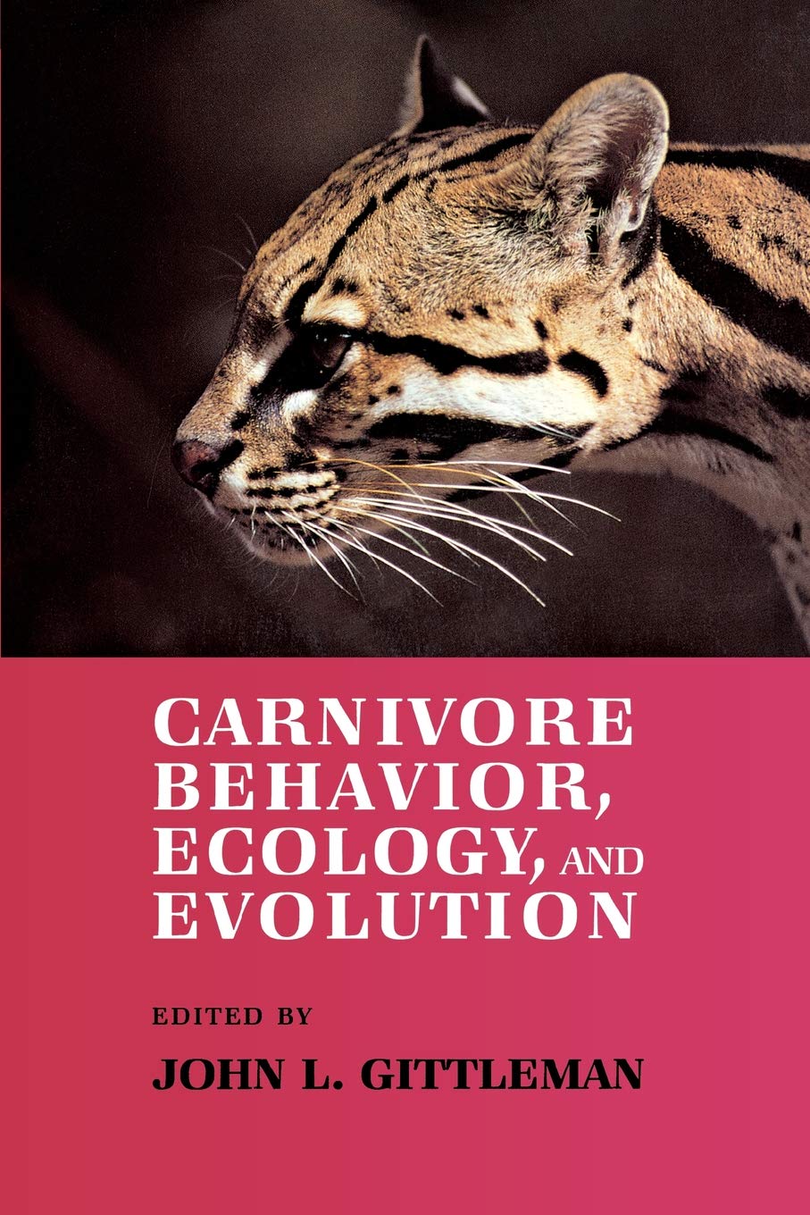 Carnivore Behavior, Ecology, And Evolution (Comstock/Cornell Paperbacks),New