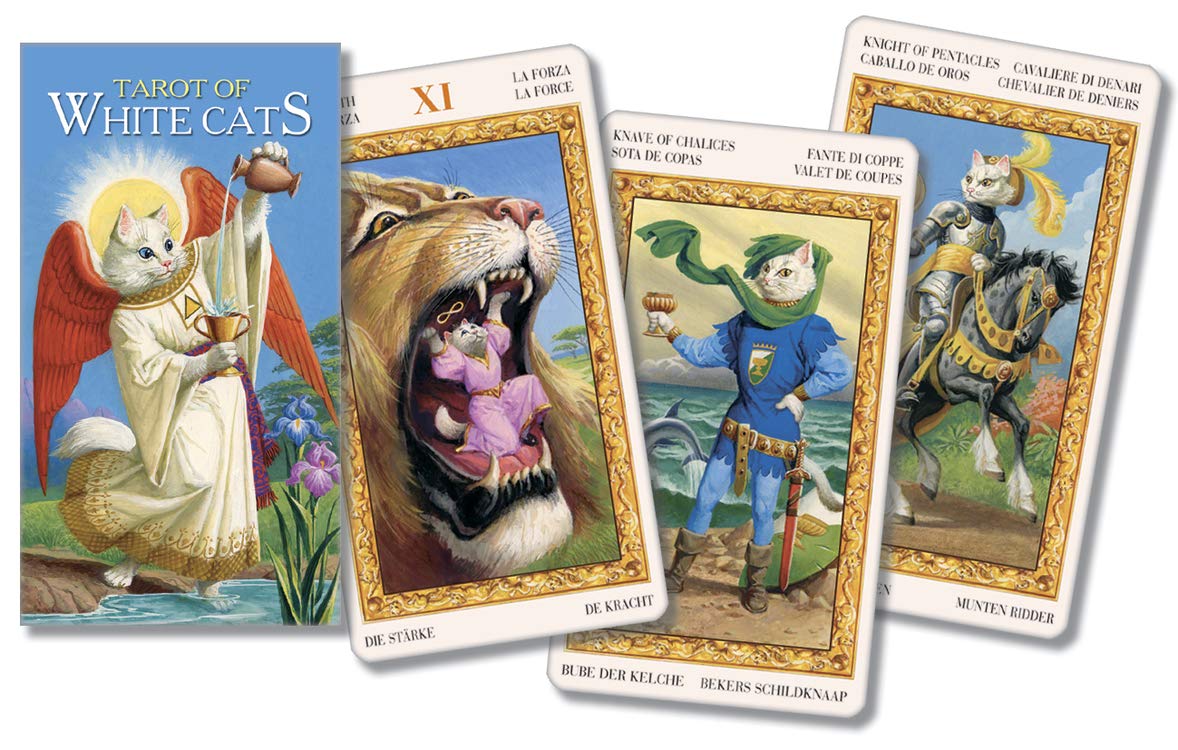 Tarot of White Cats (English and Spanish Edition),Used