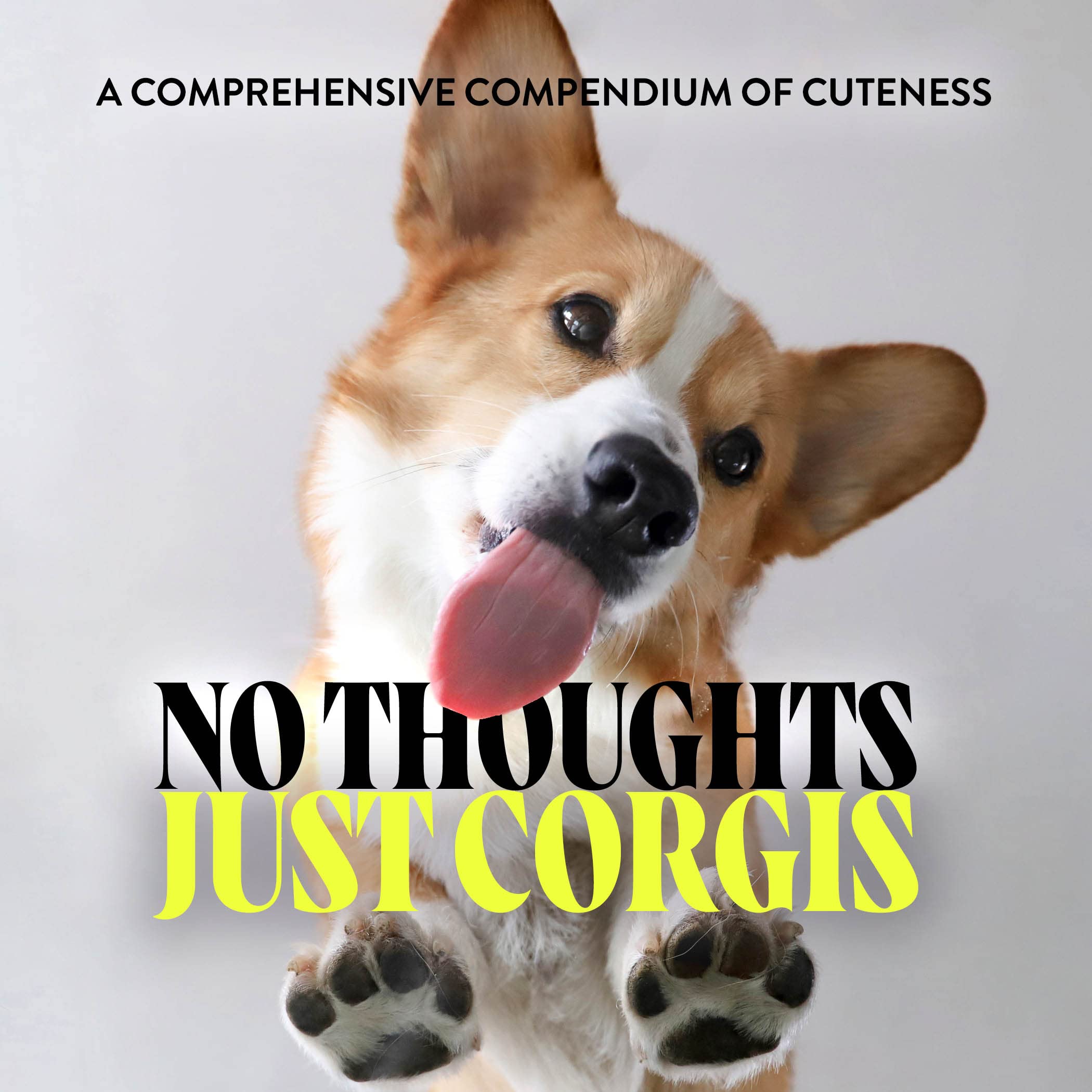 No Thoughts Just Corgis: A Comprehensive Compendium of Cuteness,New