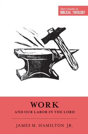 Work and Our Labor in the Lord (Short Studies in Biblical Theology),Used