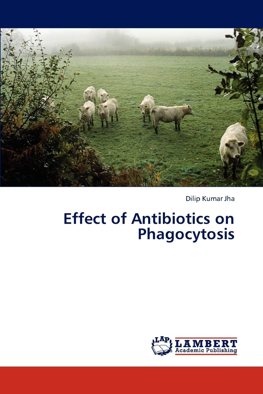 Effect of Antibiotics on Phagocytosis,Used