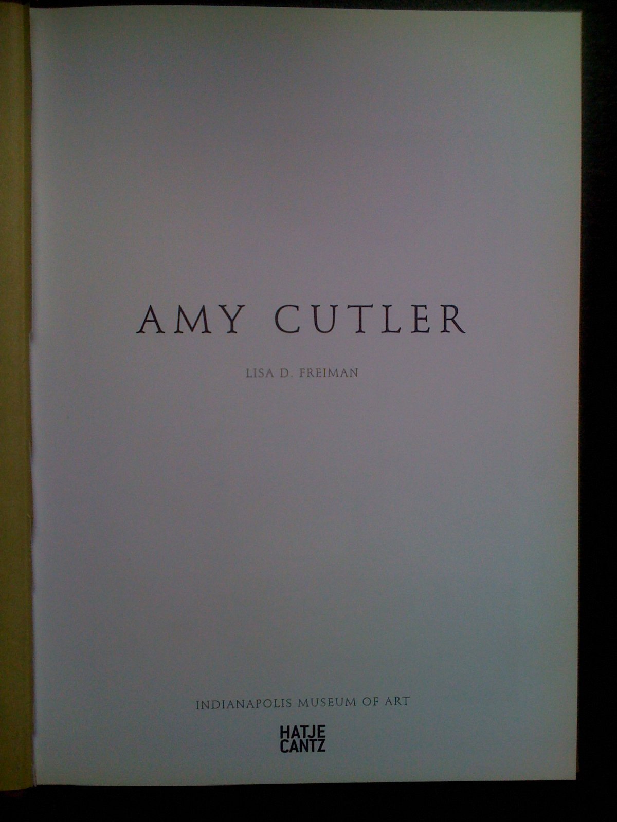 Amy Cutler,Used