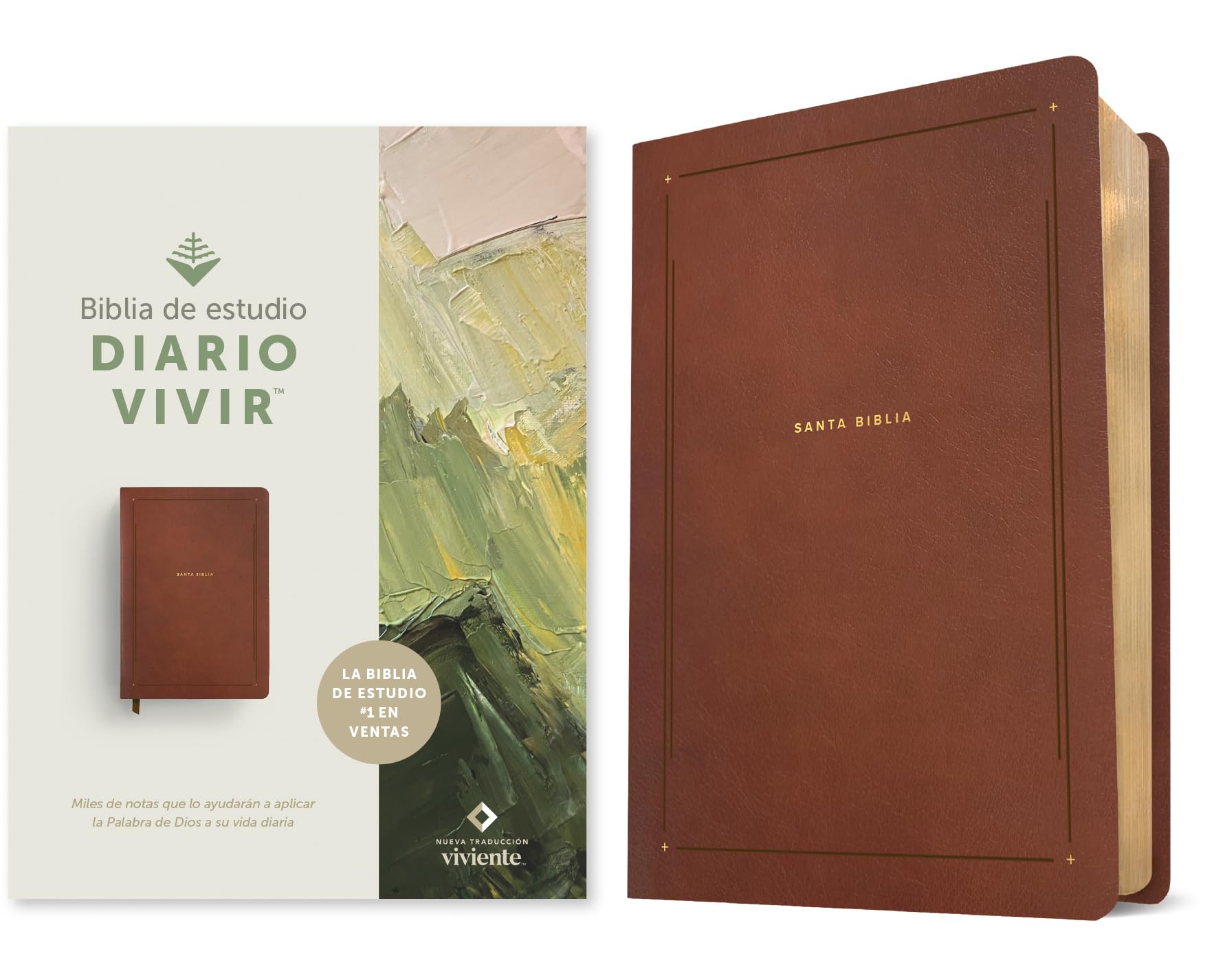 Biblia De Estudio Del Diario Vivir Ntv (Sentipiel, Caf, Letra Roja) (Spanish Edition)