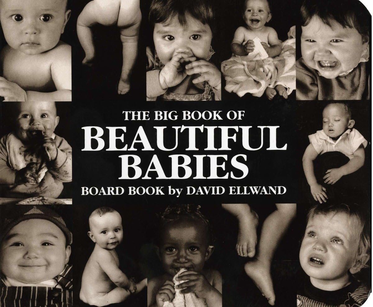 The Big Book of Beautiful Babies Board Book,Used