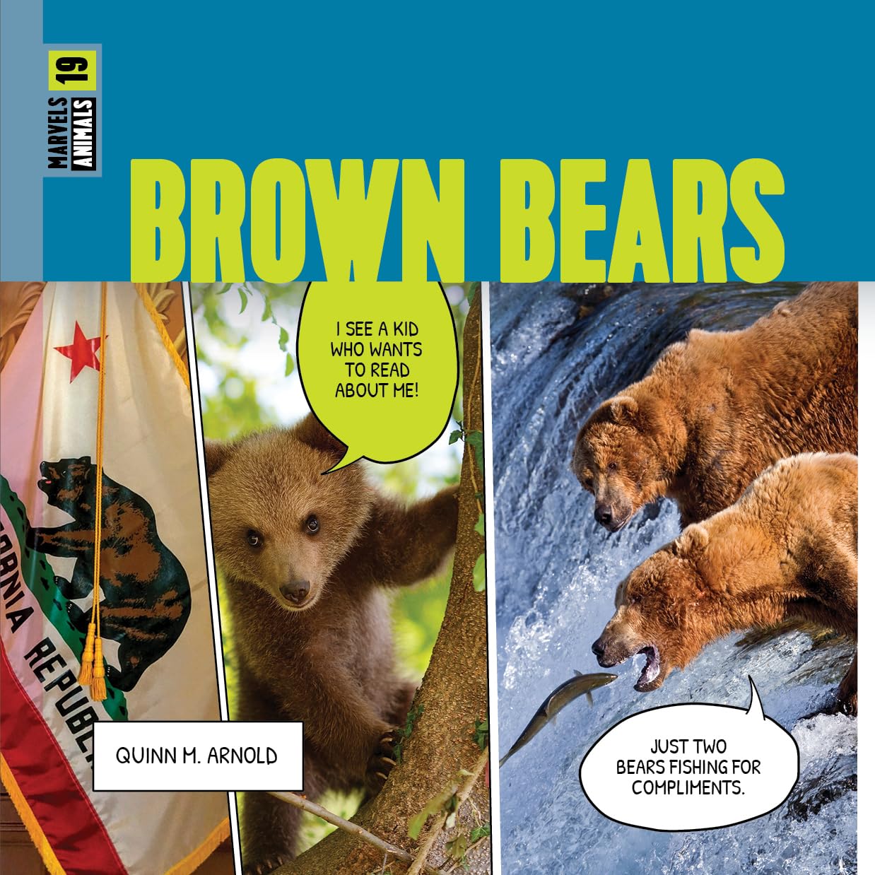 BROWN BEARS