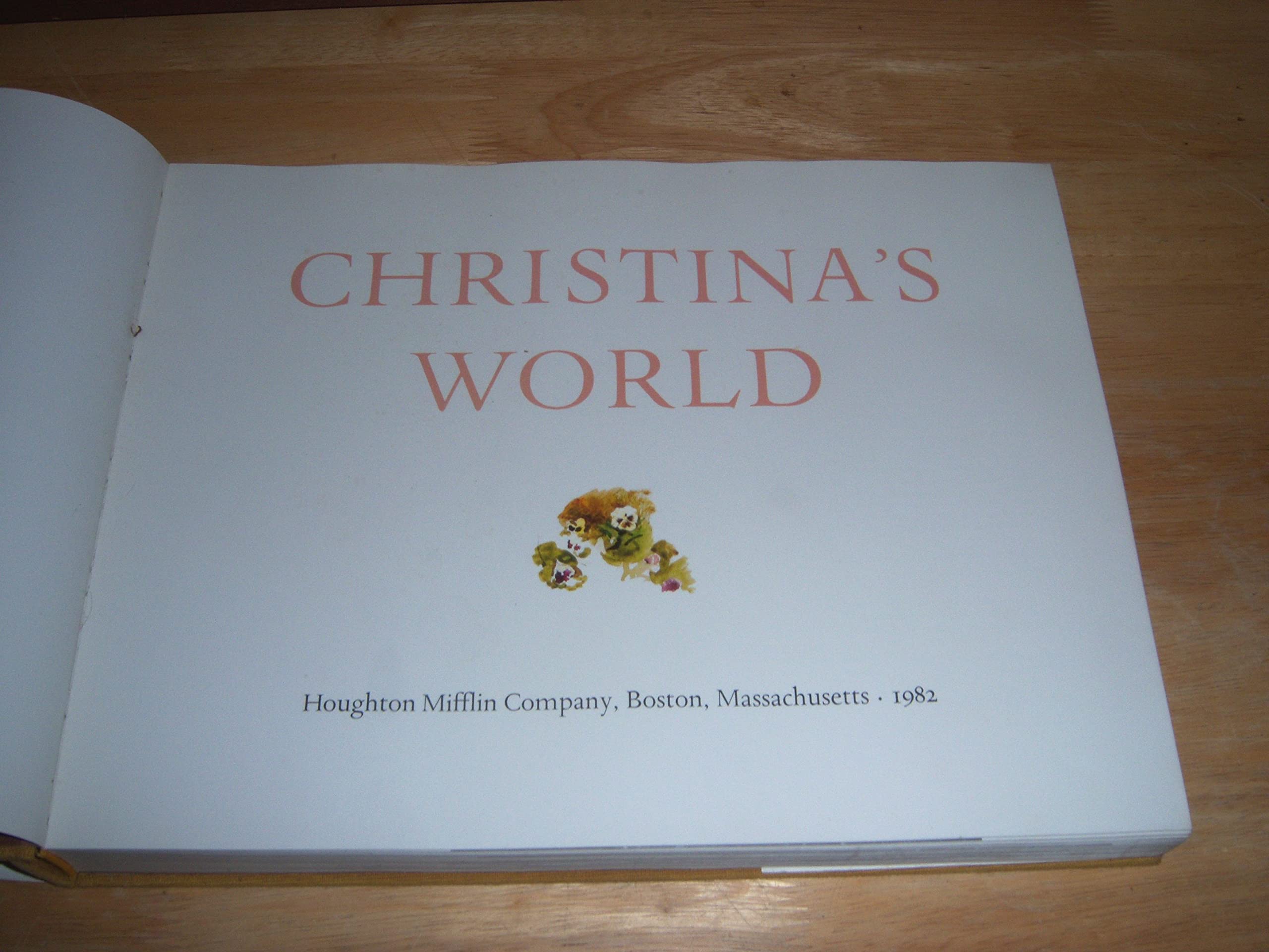 Christina's World: Paintings and Prestudies of Andrew Wyeth,Used