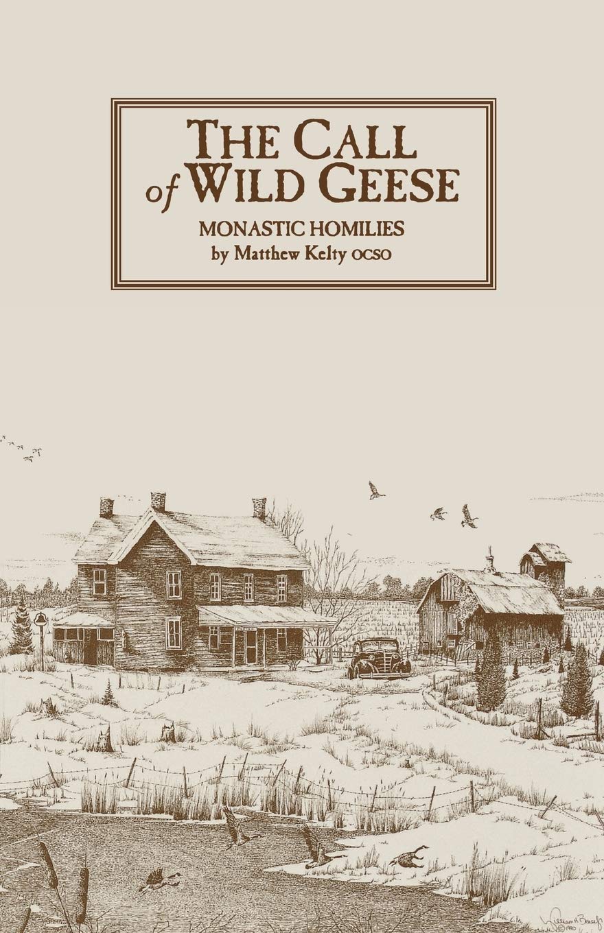 The Call of Wild Geese (Cistercian Studies 136) (Cistercian Studies Series) (Volume 136),Used