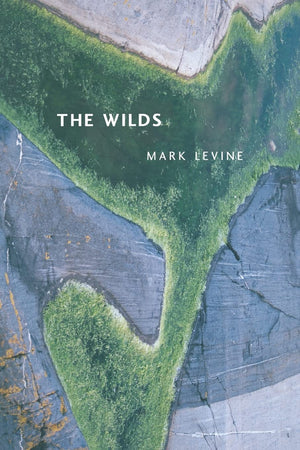 The Wilds (New California Poetry) (Volume 17),New