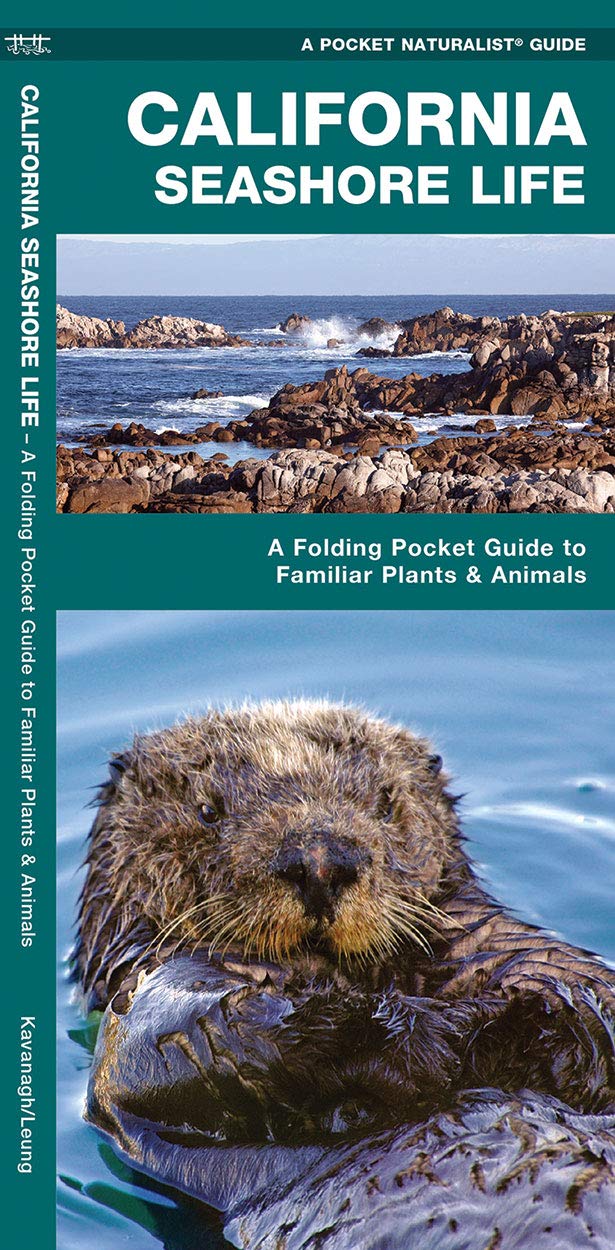 California Seashore Life: A Folding Pocket Guide to Familiar Plants & Animals (A Pocket Naturalist Guide),Used