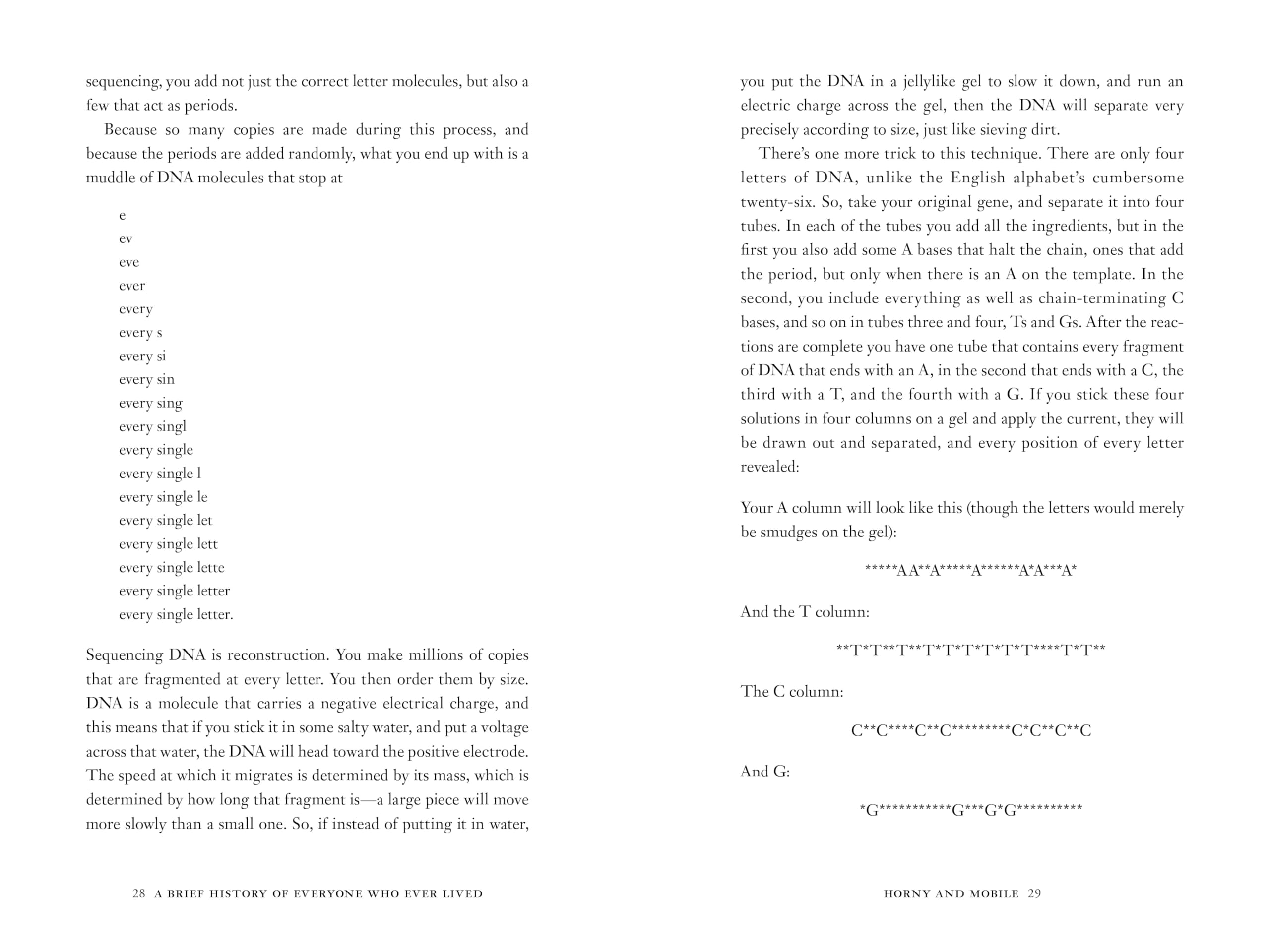 A Brief History of Everyone Who Ever Lived: The Human Story Retold Through Our Genes,New