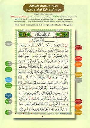 Tajweed Qur'an (Whole Qur an, With English Translation),New