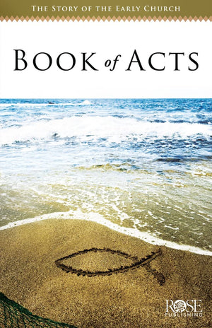 The Book of Acts: The Story of the Early Church,Used