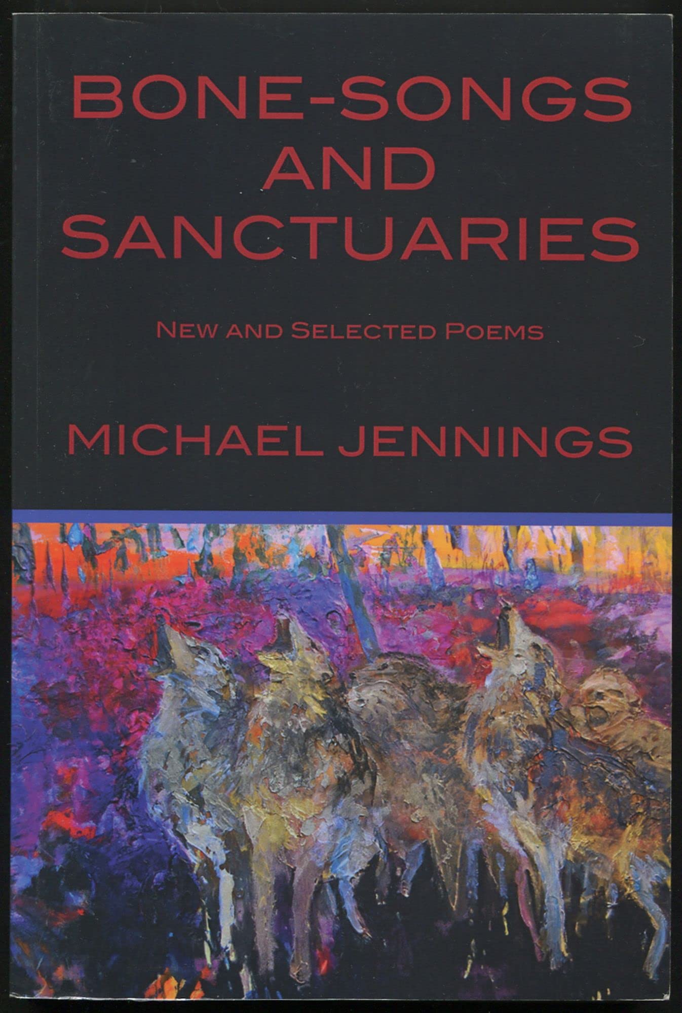 BoneSongs and Sanctuaries,Used