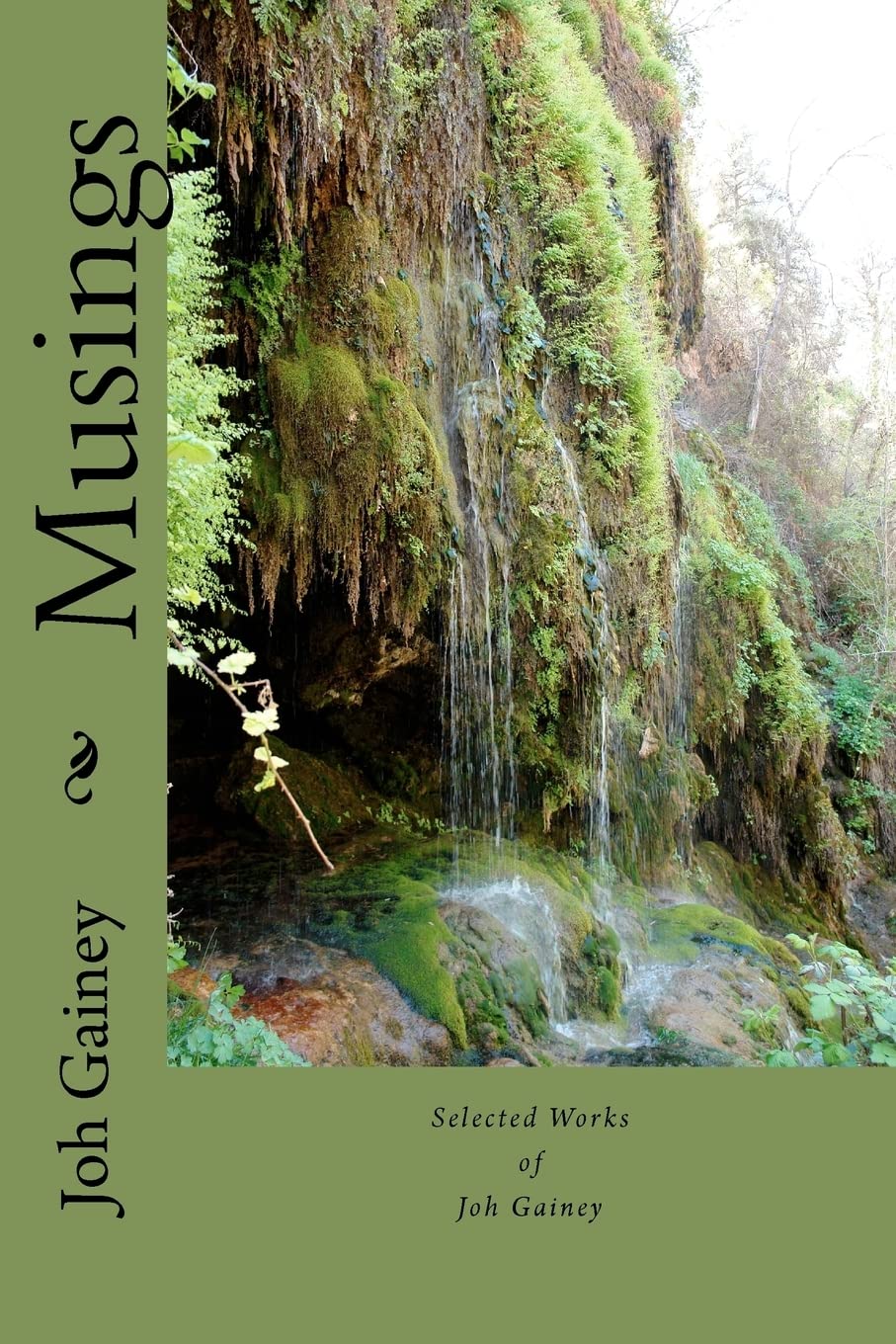 Musings: Selected Writings Of Joh Gainey,New