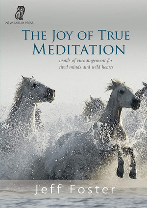The Joy of True Meditation: Words of Encouragement for Tired Minds and Wild Hearts,New