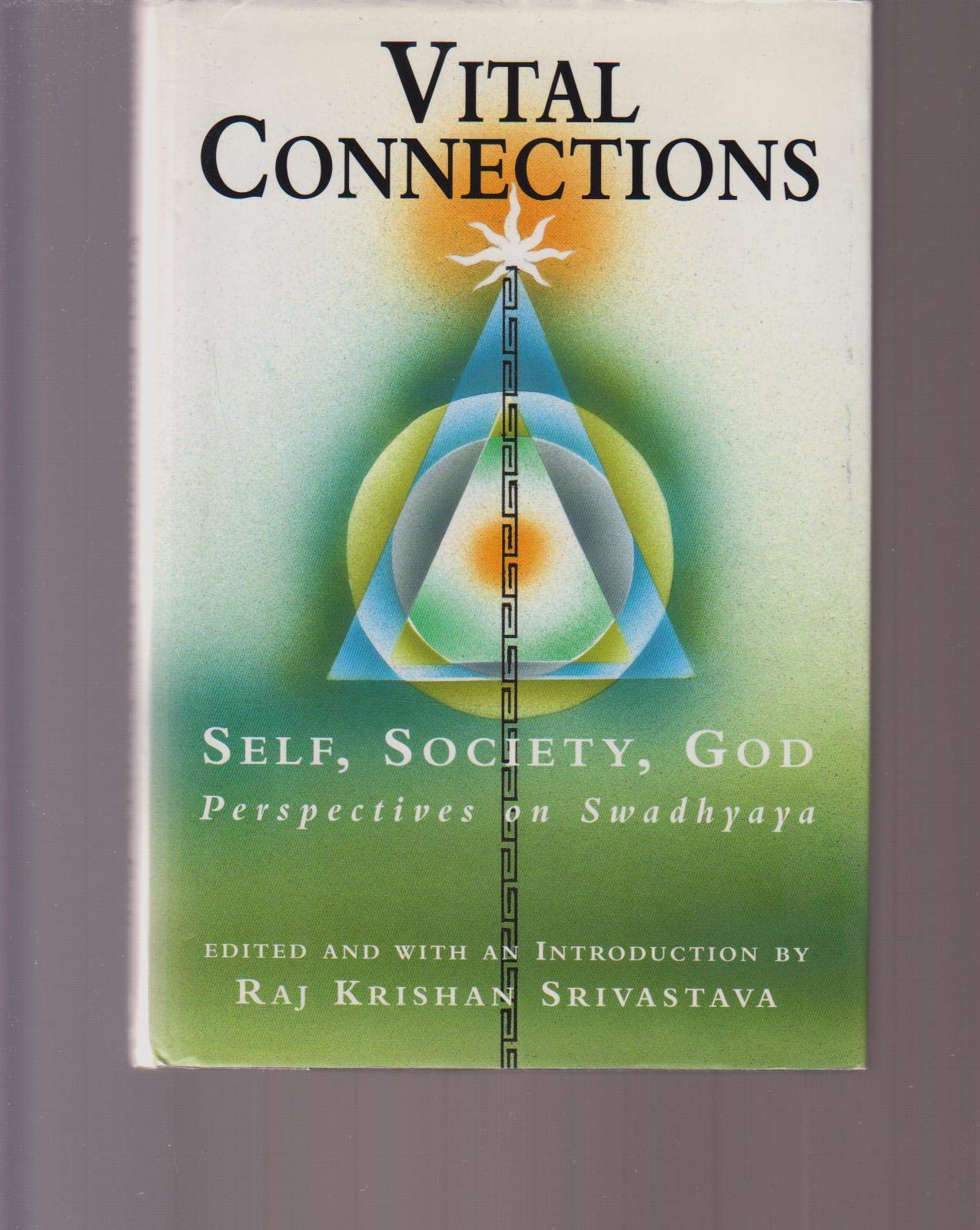 Vital Connections: Self, Society, God : Perspectives on Swadhyaya,Used