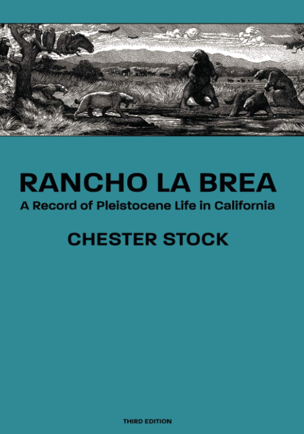 Rancho La Brea,Used