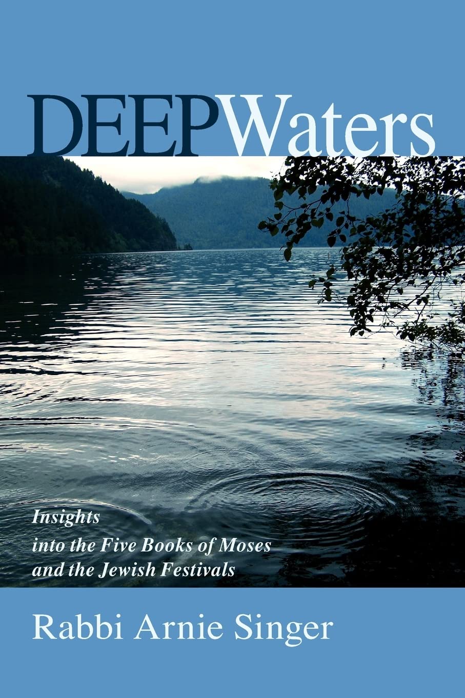 Deep Waters: Insights Into The Torah And The Jewish Holidays,Used