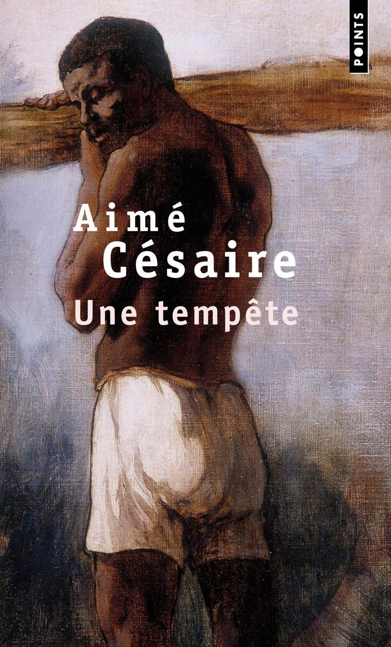 Une Tempete (French Edition),Used