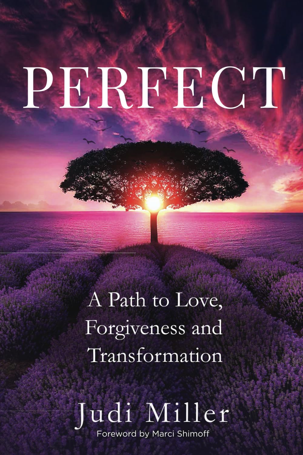 Perfect: A Path to Love, Forgiveness and Transformation,Used