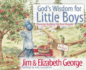 God s Wisdom for Little Boys: CharacterBuilding Fun from Proverbs