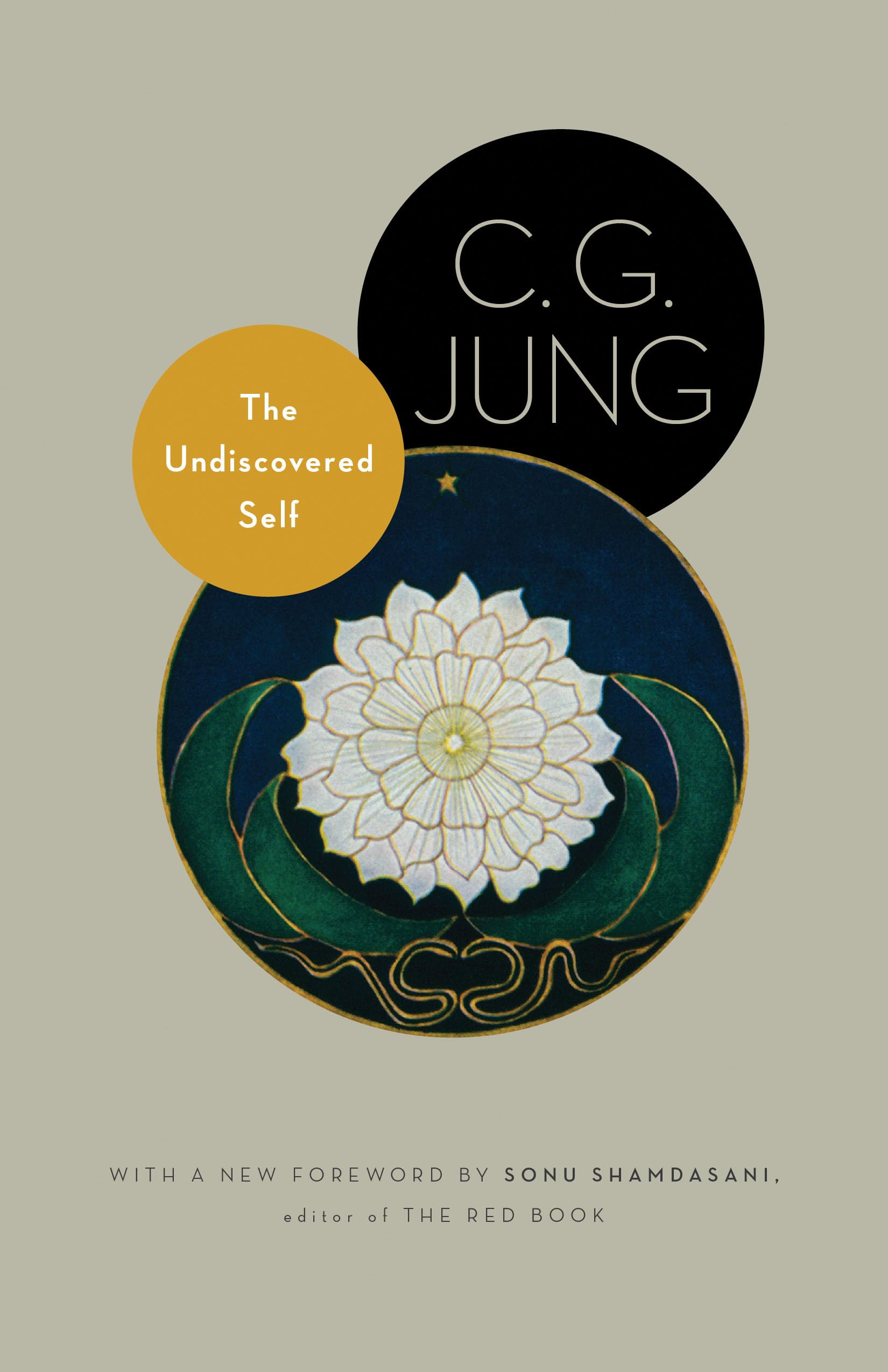 The Undiscovered Self: With Symbols And The Interpretation Of Dreams (Jung Extracts)-used