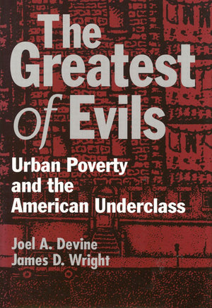 The Greatest of Evils: Urban Poverty and the American Underclass (Social Institutions and Social Change),Used