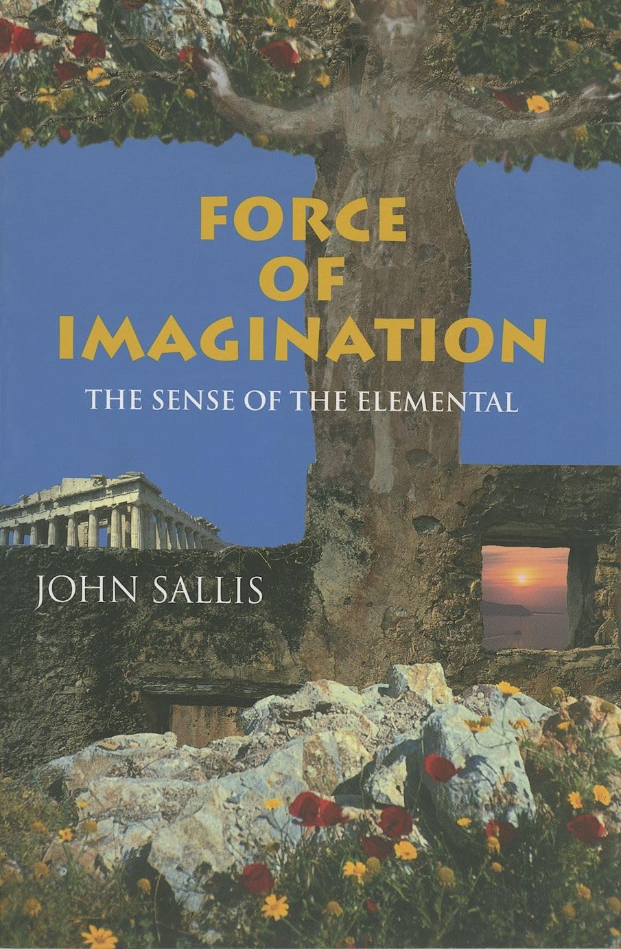 Force of Imagination: The Sense of the Elemental (Studies in Continental Thought),Used
