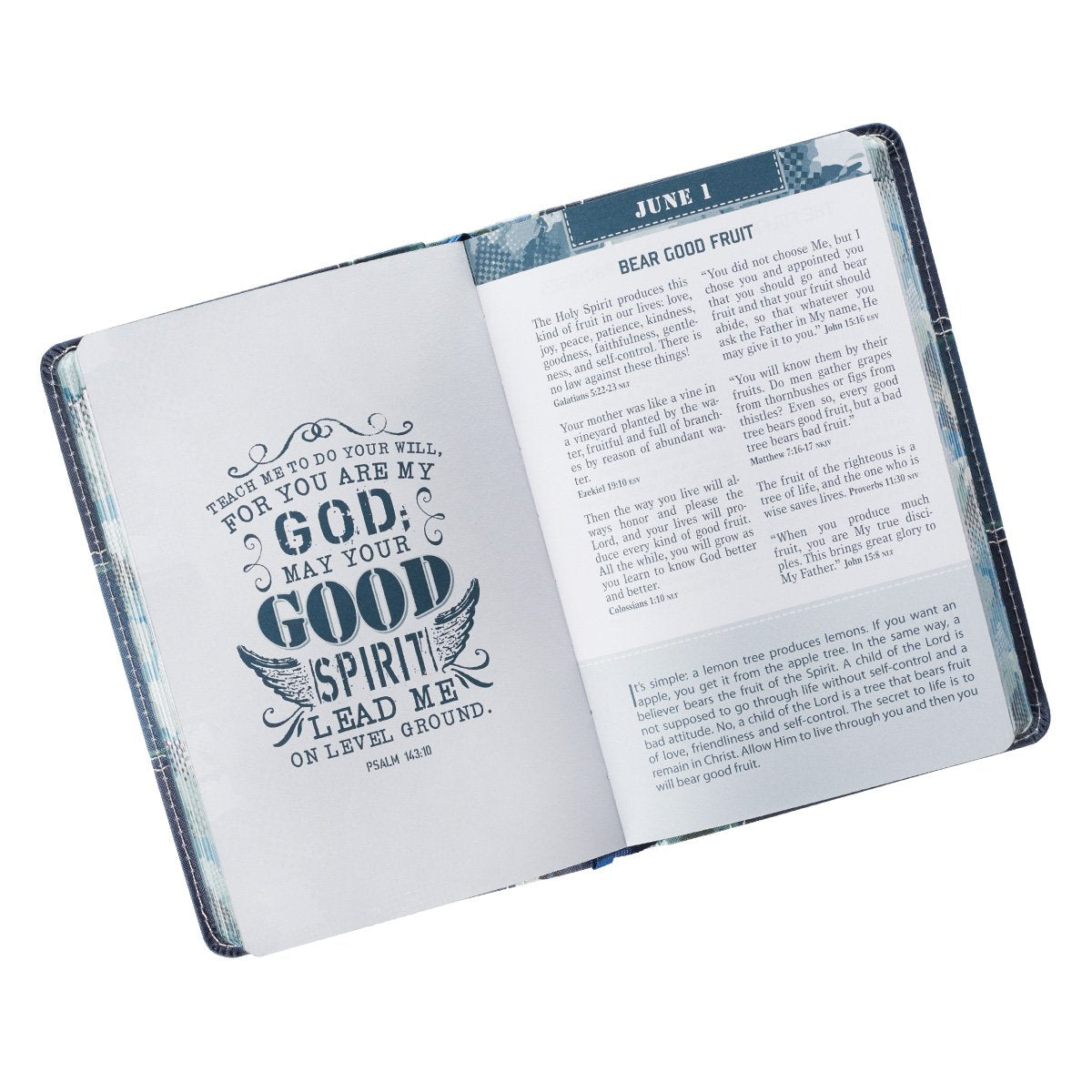 Pocket Bible Devotional for Guys,Used