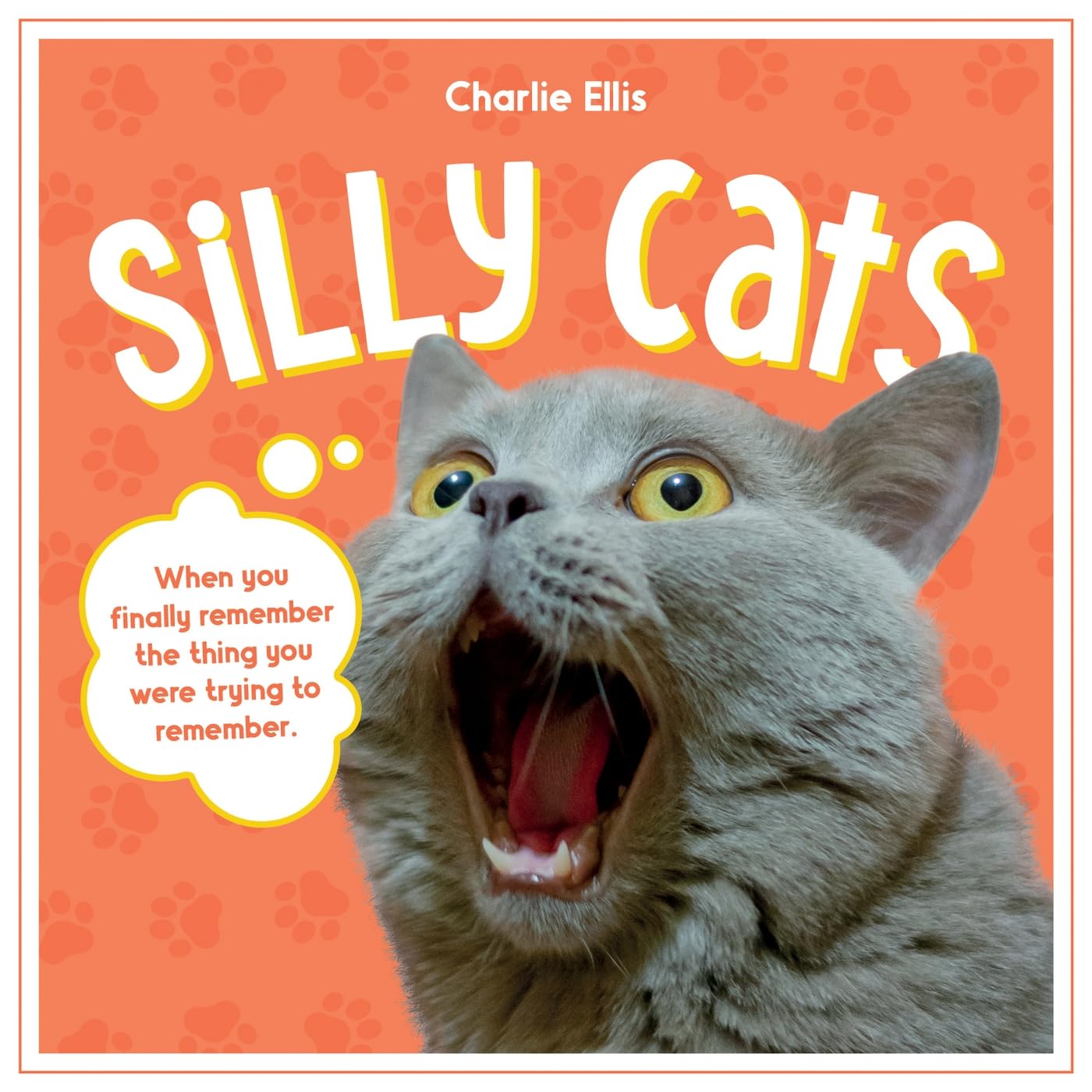 Silly Cats: A Ridiculous Collection Of The WorldS Goofiest Cats And Most Relatable Memes