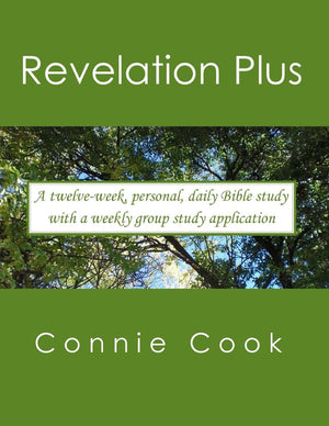 Revelation Plus: For Women. A Twelveweek, Personal, Daily Bible Study From Revelation (Plus Related Passages) With A Weekly, Gr,Used