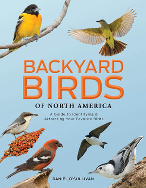 Backyard Birds Of North America: A Guide To Identifying And Attracting Your Favorite Birds