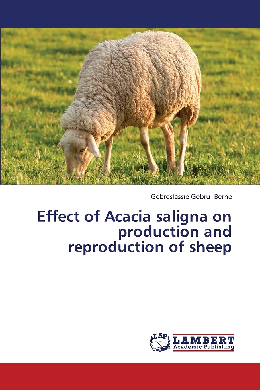 Effect of Acacia saligna on production and reproduction of sheep,Used